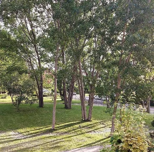 公寓 Aphrodite Roce 阳光海滩